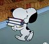 unsolicitedopinions's profile picture