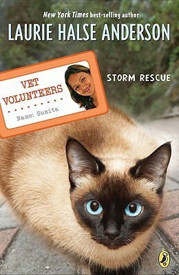 Storm Rescue by Laurie Halse Anderson