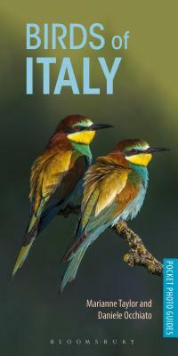 Birds of Italy by Marianne Taylor, Daniele Occhiato
