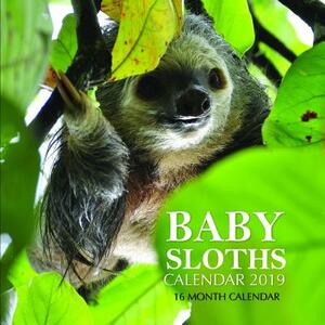 Baby Sloths Calendar 2019: 16 Month Calendar by Mason Landon