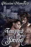 Tempted by the Storm by Maxine Mansfield