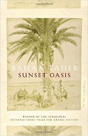 Sunset Oasis by Bahaa Taher