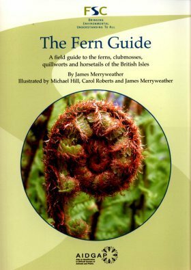 The Fern Guide: A Field Guide to the Ferns, Clubmosses, Quillworts and Horsetails of the British Isles by James Merryweather, Michael Hill, Carol Roberts