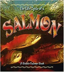 The Life Cycle of a Salmon by Bobbie Kalman, Rebecca Sjonger