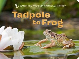 Tadpole to Frog by American Museum of Natural History