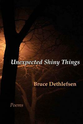 Unexpected Shiny Things by Bruce Dethlefsen