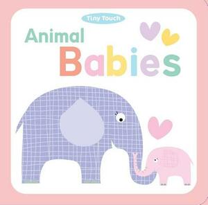 Animal Babies by Little Bee Books