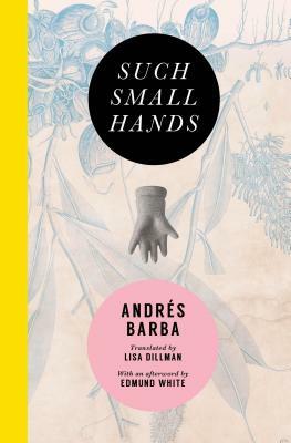 Such Small Hands by Andrés Barba