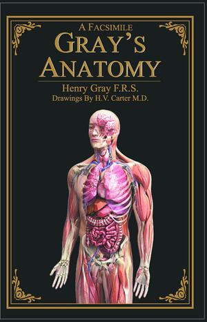 A Facsimile Gray's Anatomy by Henry Gray