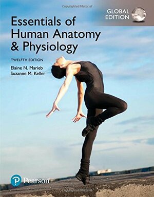 Essentials of Human Anatomy & Physiology, Global Edition by Suzanne M. Keller, Elaine N. Marieb