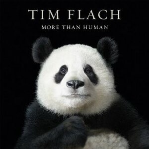 More than Human by Tim Flach, Lewis Blackwell