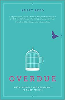 Overdue: Birth, burnout and a blueprint for a better NHS by Amity Reed