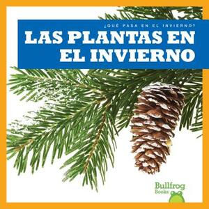 Las Plantas En El Invierno / Plants in Winter by Jennifer Fretland VanVoorst