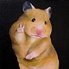 krxavs's profile picture