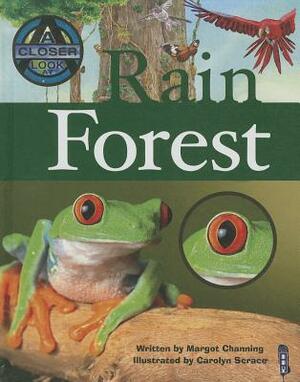 Rain Forest by Margot Channing