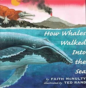 How Whales Walked into the Sea by Ted Rand, Faith McNulty