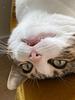 clementinette_'s profile picture