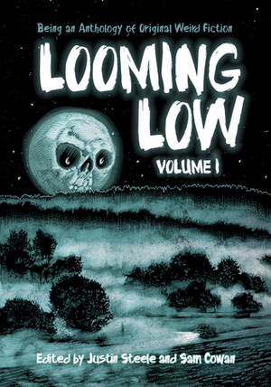 Looming Low: Volume I by Scott Nicolay, Nadia Bulkin, Simon Strantzas, Brian Evenson, Livia Llewellyn, Christopher Slatsky, Kaaron Warren, A.C. Wise, Sam Cowan, Kristi DeMeester, Lisa L. Hannett, Gemma Files, S.P. Miskowski, Betty Rocksteady, Michael Griffin, Lucy A. Snyder, Daniel Mills, Michael Wehunt, Justin Steele, Anya Martin, Brooke Warra, Richard Gavin, Yves Tourigny, Michael Cisco, Sunny Moraine, Craig Laurance Gidney, Kurt Fawver, Jeffrey Thomas, Damien Angelica Walters