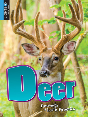 Deer by Christine Webster