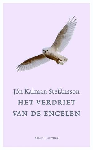 Het verdriet van de engelen by Jón Kalman Stefánsson
