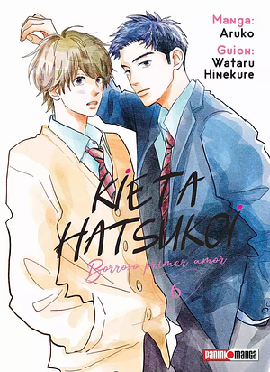 Kieta Hatsukoi: Borroso primer amor, Vol. 6 by Aruko, Wataru Hinekure