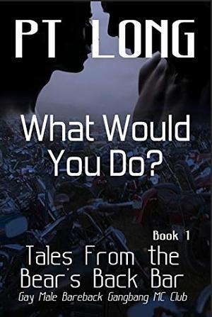 Tales From the Bear's Back Bar: What Would You Do?: Gay Male Bareback Gangbang MC Club by P.T. Long