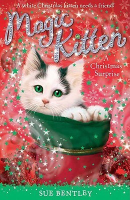 A Christmas Surprise by Sue Bentley, Andrew Farley, Angela Swan