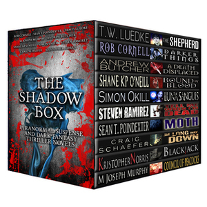 The Shadow Box by Shane K.P. O'Neill, Rob Cornell, M. Joseph Murphy, Simon Okill, Kristopher Norris, Sean T. Poindexter, Andrew Butcher, Craig Schaefer, Travis Luedke, Steven Ramirez