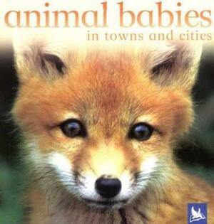Animal Babies in Towns and Cities by Kingfisher Books