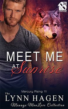 Meet Me at Sunrise by Lynn Hagen