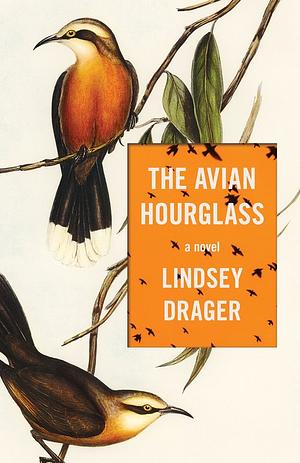 The Avian Hourglass by Lindsey Drager