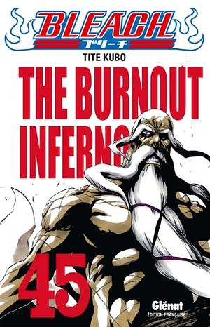 Bleach, Tome 45: The Burnout Inferno by Tite Kubo