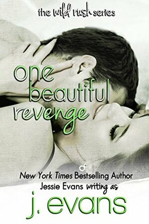 One Beautiful Revenge by J. Evans