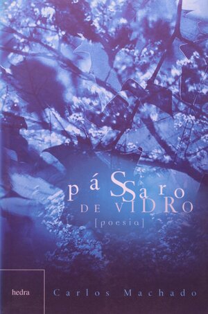 Pássaro de vidro by Carlos Machado