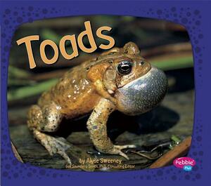 Toads by Alyse Sweeney