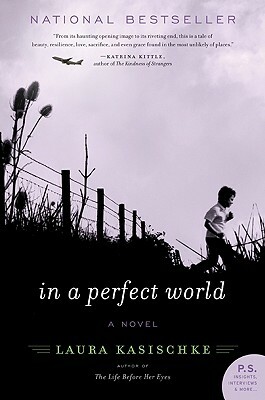 In a Perfect World by Laura Kasischke