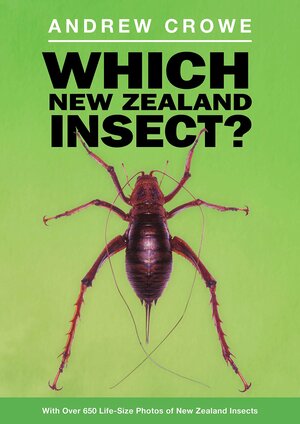 Which New Zealand Insect? by Andrew Crowe