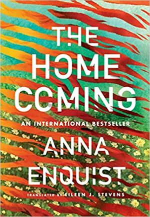 The Homecoming by Anna Enquist, Anna Enquist