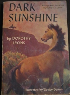 Dark Sunshine by Dorothy Lyons