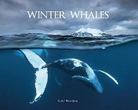 Winter whales by Audun Rikardsen