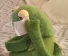 anacatarina's profile picture