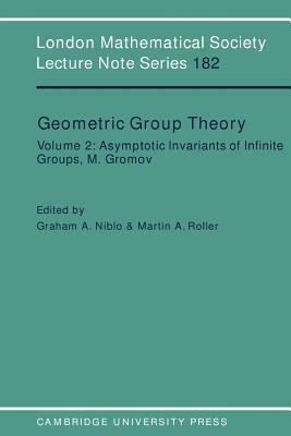 Geometric Group Theory: Volume 2 by 