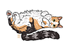 bookiiemonster's profile picture