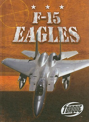 F-15 Eagles by Jack David