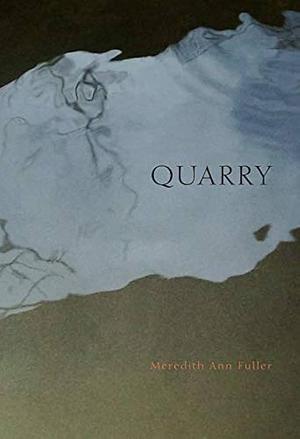 Quarry by Kathleen Spivack, Meredith Ann Fuller, Deborah J. Haynes, Pinckney Benedict, Kirkus Reviews