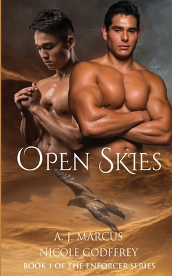 Open Skies by A. J. Marcus, Nicole Godfrey