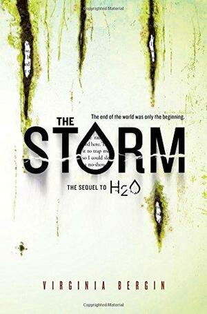 The Storm by Virginia Bergin