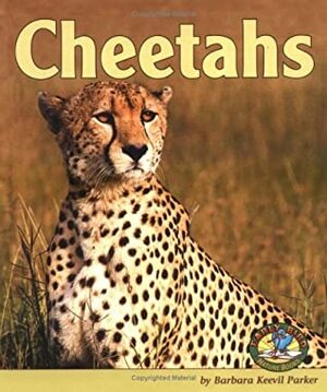 Cheetahs by Barbara Keevil Parker