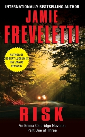 Risk by Jamie Freveletti