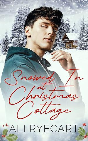 Snowed In at Christmas Cottage by Ali Ryecart